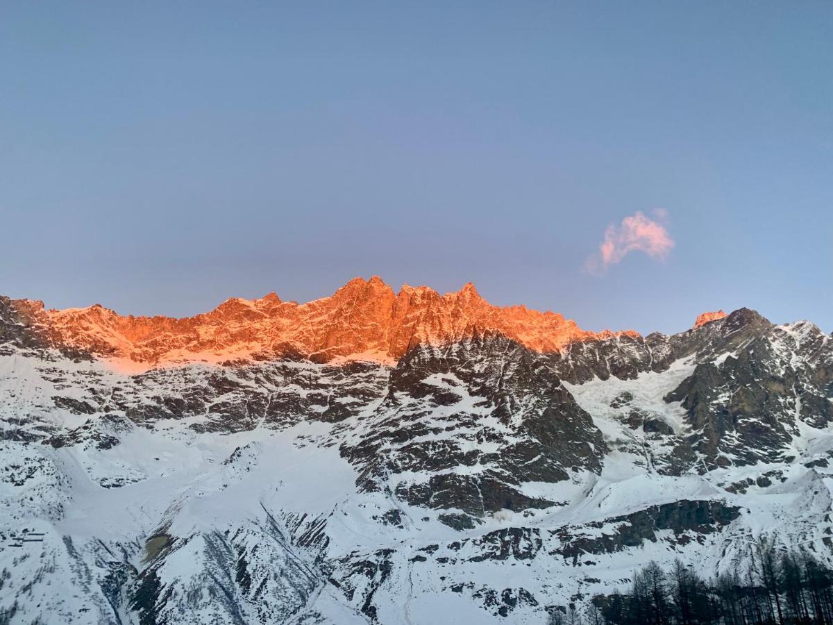 Cervinia In Out - Family *
